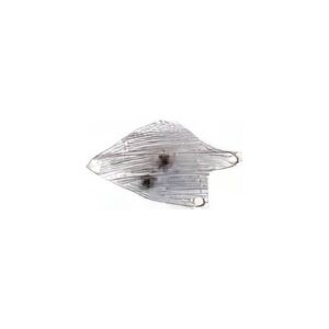 A48 - Adaptateur pour  AISIN 8 MARCE - GA8F22AW BMW